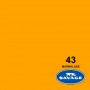 Fondo papel Savage 2,72m x 11m (107" x 36') - 43 Marmalade - Mermelada